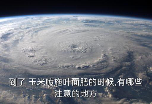 到了 玉米噴施葉面肥的時候,有哪些注意的地方