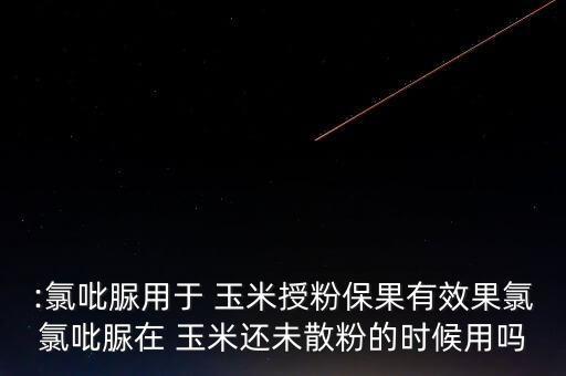 玉米伴侶農藥成分是什么,玉米農藥的用處是什么