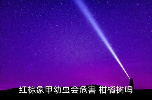 打跳甲蟲什么農藥好,柑橘象甲蟲用什么農藥