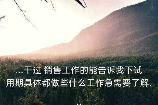 ...干過 銷售工作的能告訴我下試用期具體都做些什么工作急需要了解...