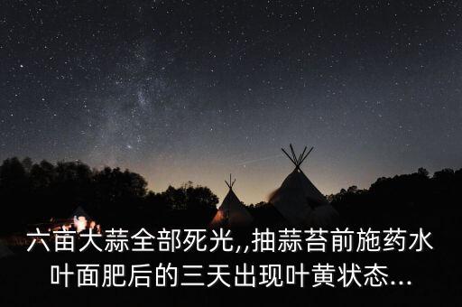 六畝大蒜全部死光,,抽蒜苔前施藥水葉面肥后的三天出現葉黃狀態...