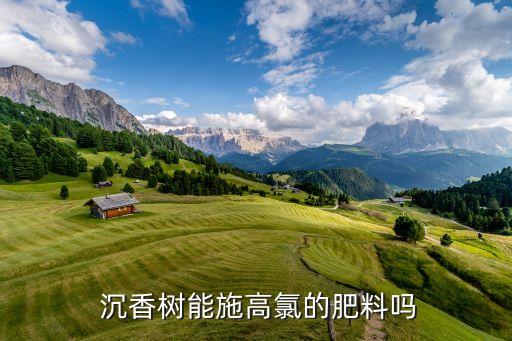 ,種植沉香樹打什么農藥