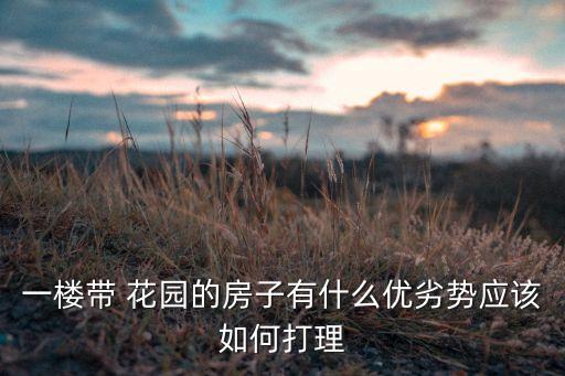 一樓帶 花園的房子有什么優劣勢應該如何打理