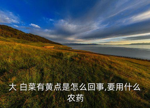 大 白菜有黃點是怎么回事,要用什么 農藥