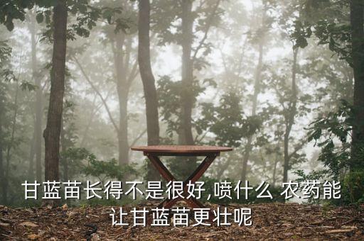 蘿卜苗打什么農藥好,什么農藥提苗快