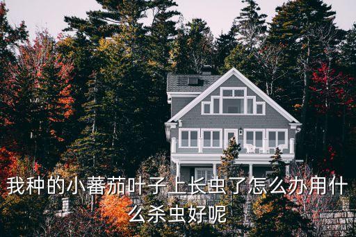 番茄葉灑什么農藥,番茄打什么農藥