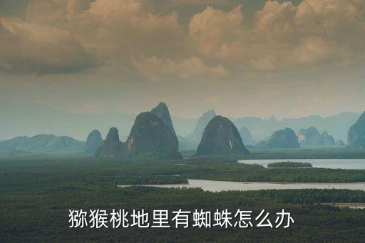 獼猴桃地里有蜘蛛怎么辦