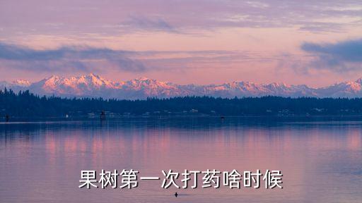 打農藥什么時候打效果最好?,樹上打農藥什么時候打