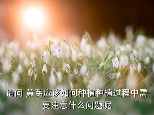,黃芪除草打什么農(nóng)藥
