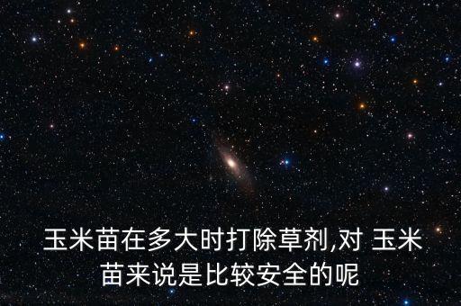 大蒜苗怕什么農(nóng)藥,玉米苗最怕什么農(nóng)藥6