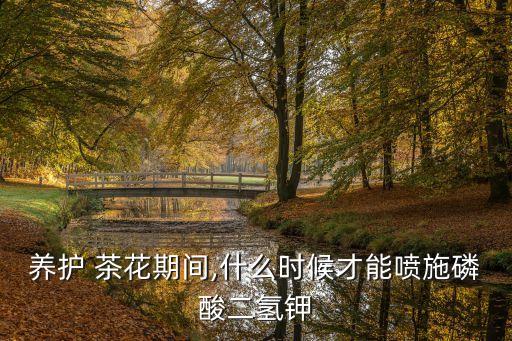 養(yǎng)護 茶花期間,什么時候才能噴施磷酸二氫鉀