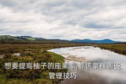 想要提高柚子的座果率,都該掌握哪些管理技巧