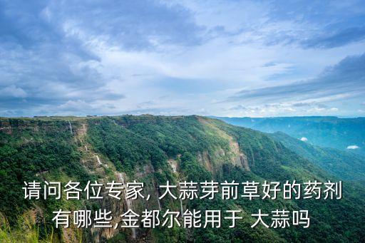 現(xiàn)在大蒜打什么農(nóng)藥好,大蒜用什么農(nóng)藥拌種子