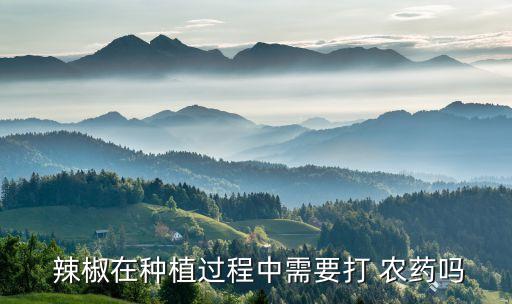 辣椒不能用什么農(nóng)藥,緬甸辣椒種什么農(nóng)藥好