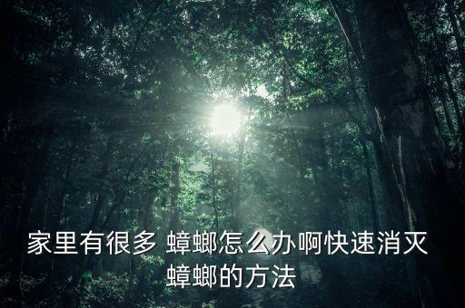 蟑螂用什么農藥可以滅,殺蟑螂用什么農藥最好