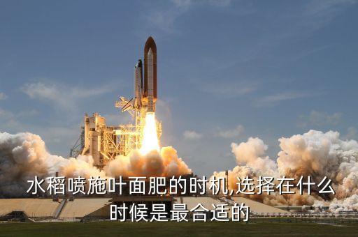 水稻噴施葉面肥的時機(jī),選擇在什么時候是最合適的