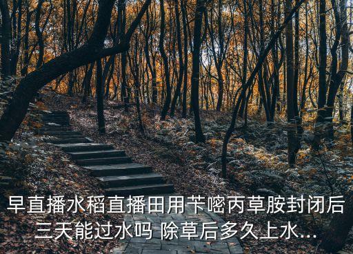 早直播水稻直播田用芐嘧丙草胺封閉后三天能過水嗎 除草后多久上水...