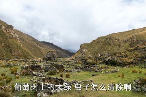 葉片上的蟲子用什么農(nóng)藥,綠色蟲子用什么農(nóng)藥治