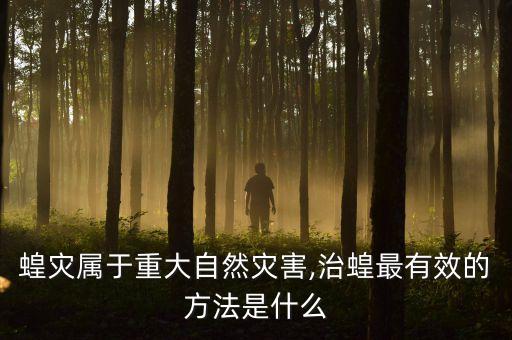蝗災(zāi)屬于重大自然災(zāi)害,治蝗最有效的方法是什么