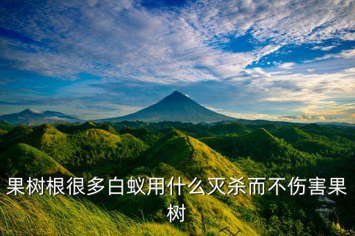 果樹根很多白蟻用什么滅殺而不傷害果樹