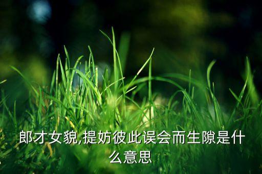 郎才女貌,提妨彼此誤會而生隙是什么意思