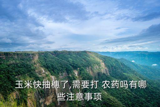 玉米快抽穗了,需要打 農藥嗎有哪些注意事項