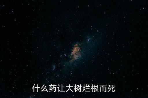 什么藥讓大樹爛根而死