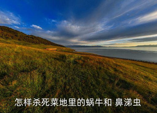 怎樣殺死菜地里的蝸牛和 鼻涕蟲