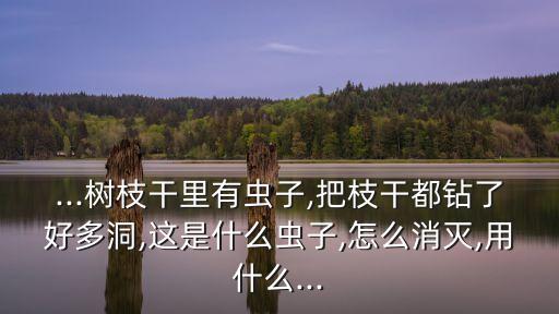 果子爛了施什么農藥,什么農藥可以打死果子蟲