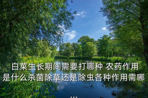 秋天的白菜有什么營養,秋天白菜用什么農藥