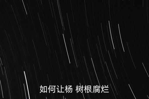 爛大樹根的農藥,什么農藥能爛樹根