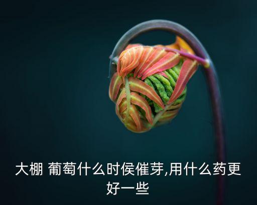 葡萄什么溫度發芽呢,葡萄發芽期用什么農藥
