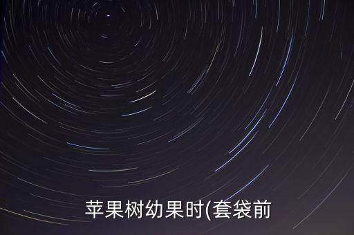 蘋果套袋廠家直銷,套蘋果袋時間打什么農(nóng)藥
