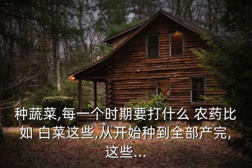 種蔬菜,每一個時期要打什么 農藥比如 白菜這些,從開始種到全部產完,這些...