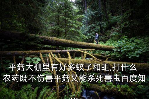 平菇大棚里有好多蚊子和蛆,打什么 農(nóng)藥既不傷害平菇又能殺死害蟲百度知...