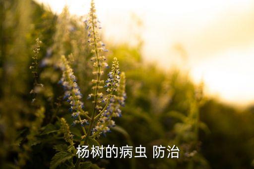  楊樹的病蟲 防治