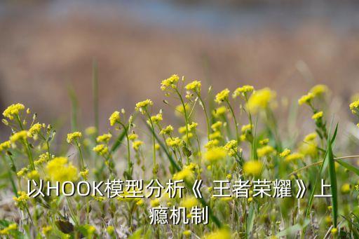 王者喜歡玩輔助的男生,為什么男生喜歡玩王者農藥