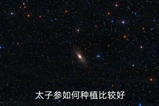  太子參如何種植比較好