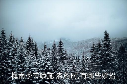 梅雨季節噴施 農藥時,有哪些妙招