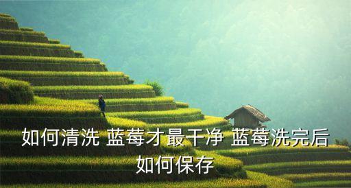 藍(lán)莓種植與管理,種植藍(lán)莓需要什么農(nóng)藥殘留