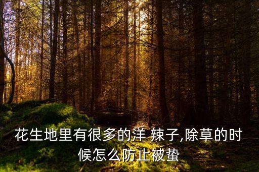 花生地里有很多的洋 辣子,除草的時候怎么防止被蟄