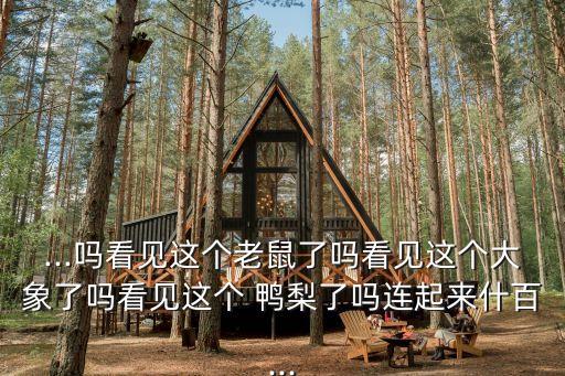 ...嗎看見這個老鼠了嗎看見這個大象了嗎看見這個 鴨梨了嗎連起來什百...