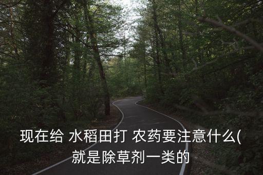 現在給 水稻田打 農藥要注意什么(就是除草劑一類的