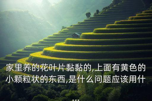 ,燈盞花葉子黃用什么農藥