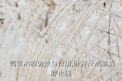 鴨掌木用什么農藥驅蟲好