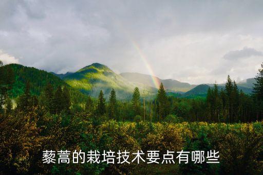 種植香蕉需要什么農(nóng)藥,種植藜蒿用什么農(nóng)藥