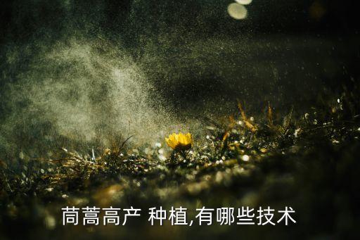 茼蒿高產(chǎn) 種植,有哪些技術(shù)