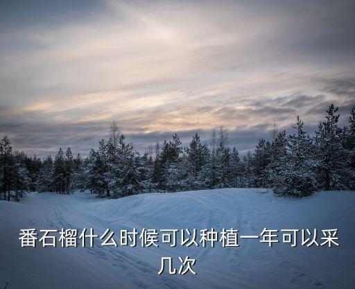  番石榴什么時候可以種植一年可以采幾次