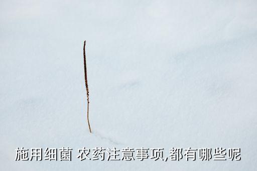 蘇云金芽孢桿菌農藥,殺芽孢桿菌什么農藥最好