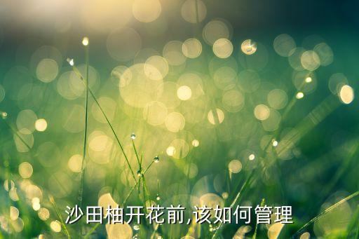 柚子開花期打什么農(nóng)藥,柚子什么時間開花什么時間結(jié)果